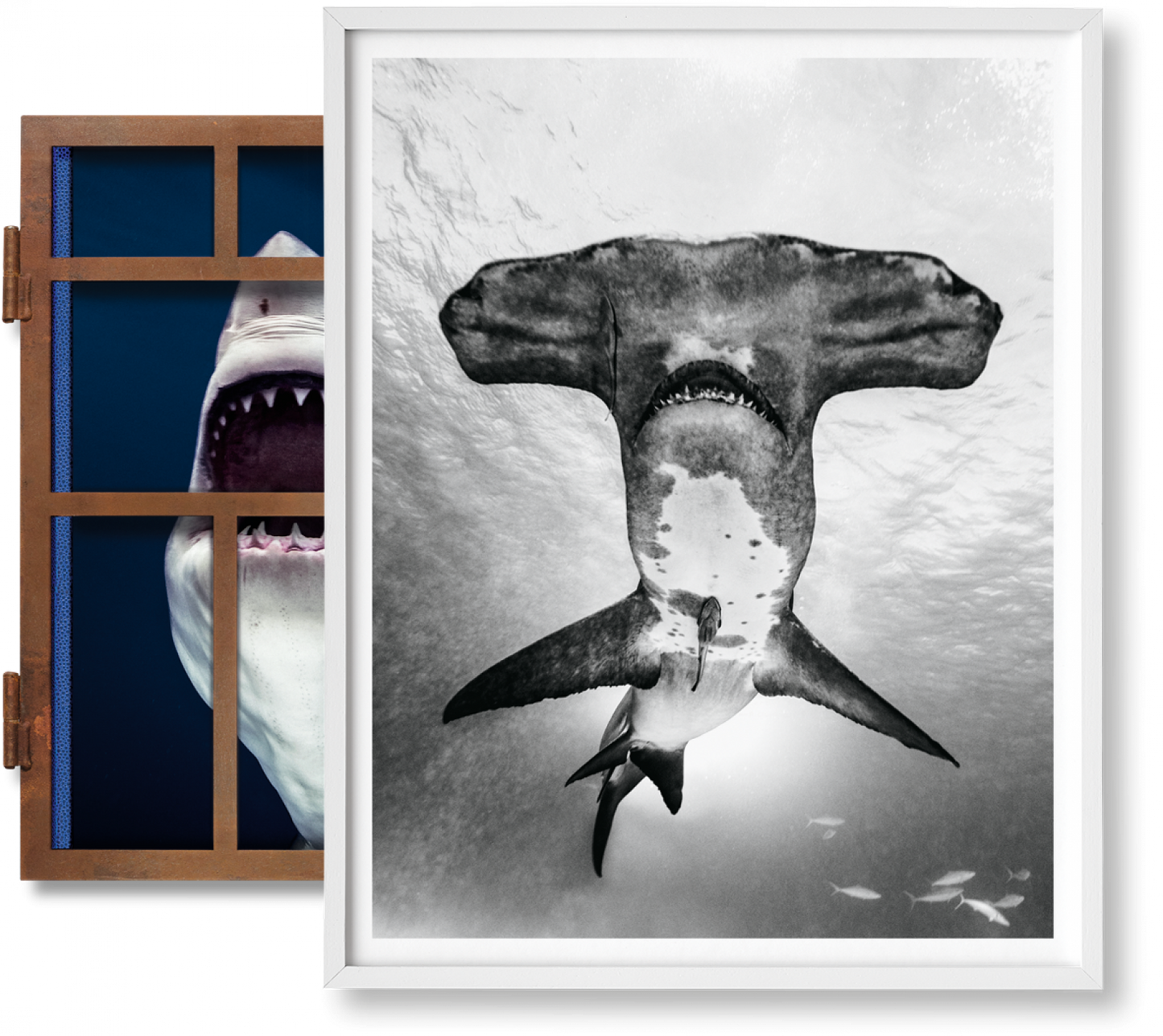 Muller, Sharks, Art B, Under Study (Englisch)