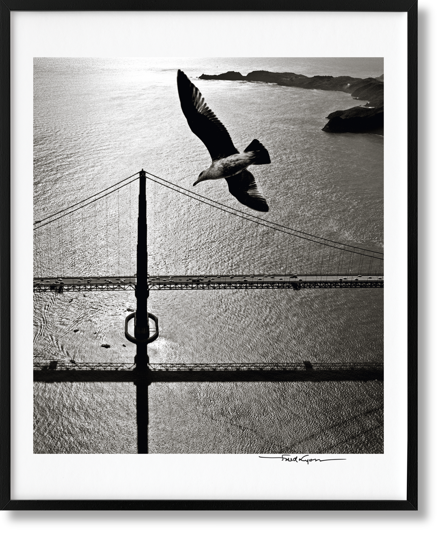 Portrait, San Francisco, Art B, Seagull (German, French, English) (AP)