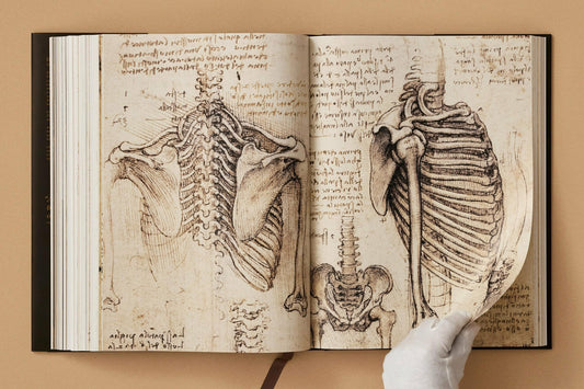Leonardo. The Complete Paintings and Drawings (Spanish)