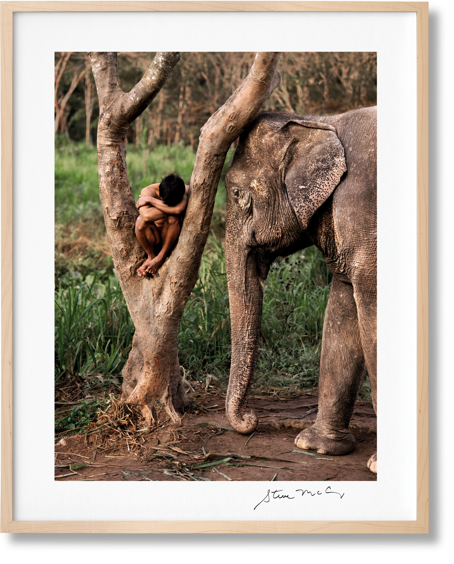 McCurry, Animals, Art A, Chiang Mai (German, French, English) (SA)