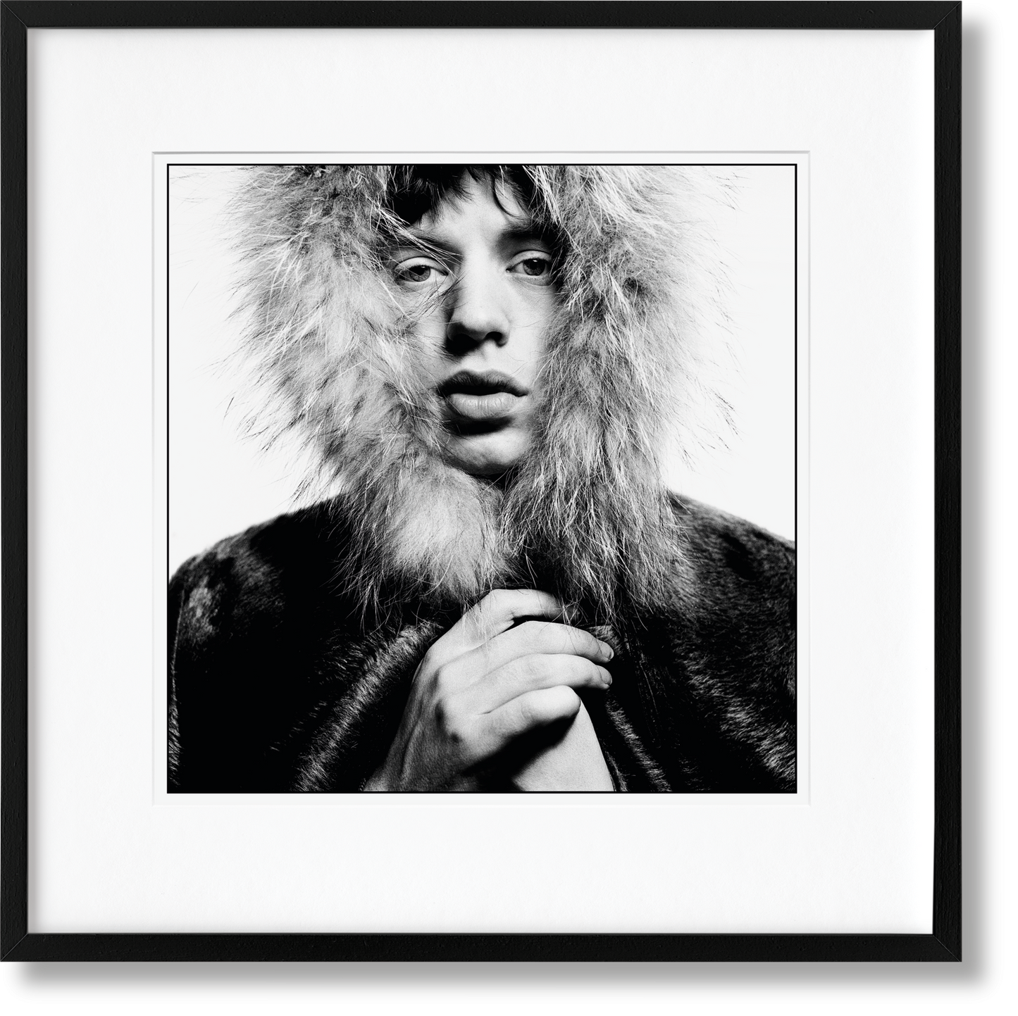Bailey SUMO, Art C, Jagger (English) (AP)