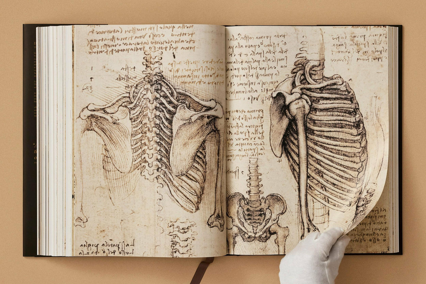Leonardo. The Complete Paintings and Drawings (Spanish)