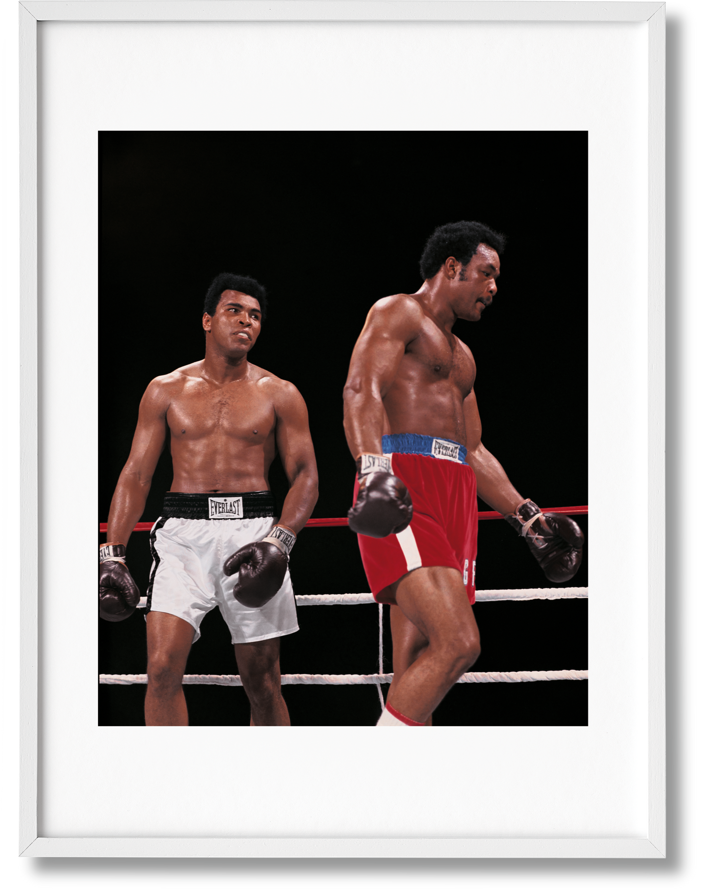 Mailer/Leifer/Bingham, The Fight, Art A, glaring (English) (SA)