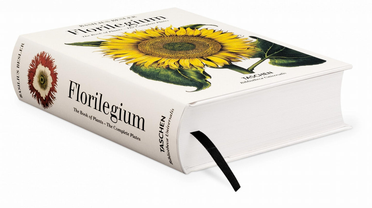 Besler, Book of Plants/Eichstätt