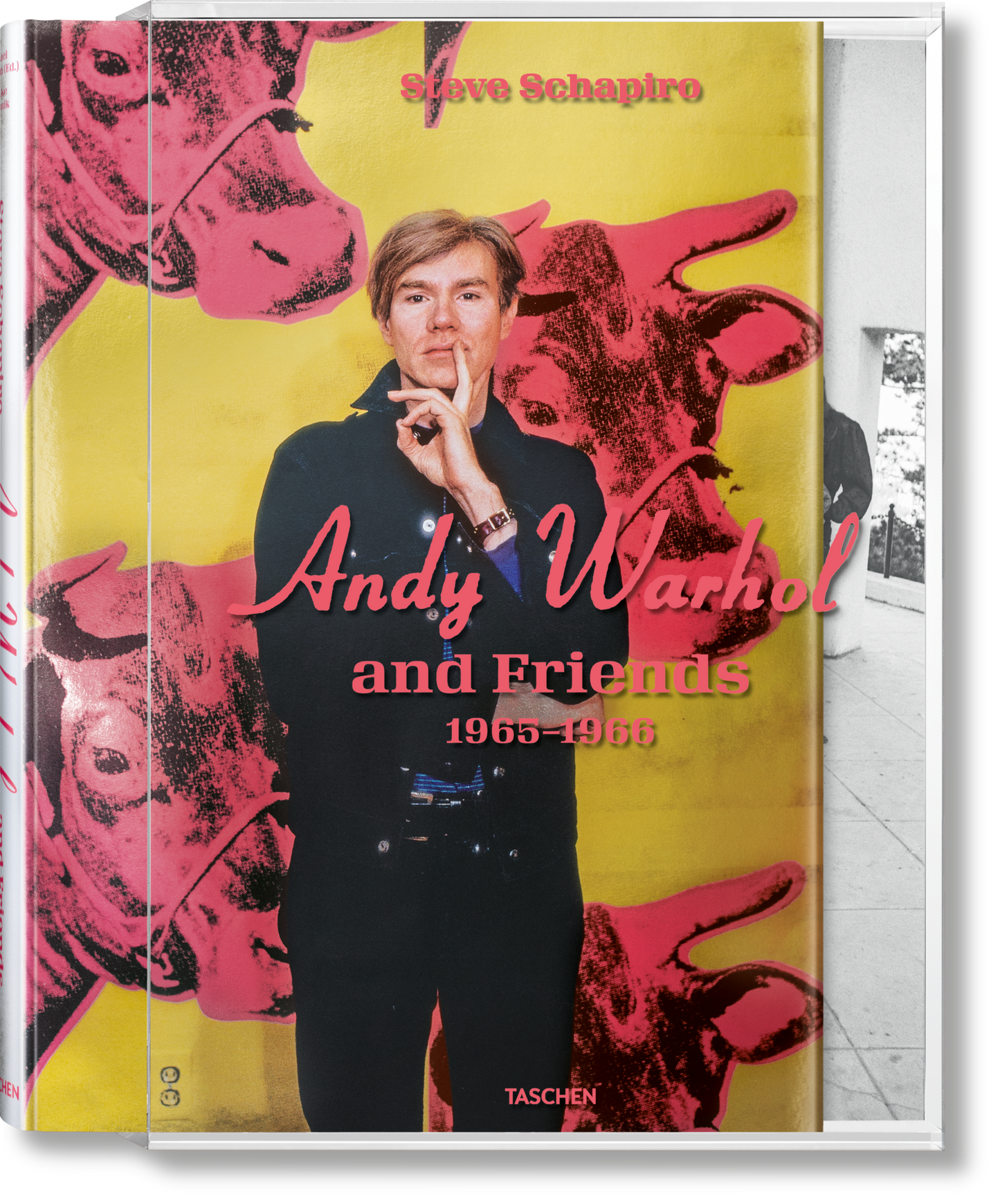 Schapiro, Warhol & Friends (English) (AP)