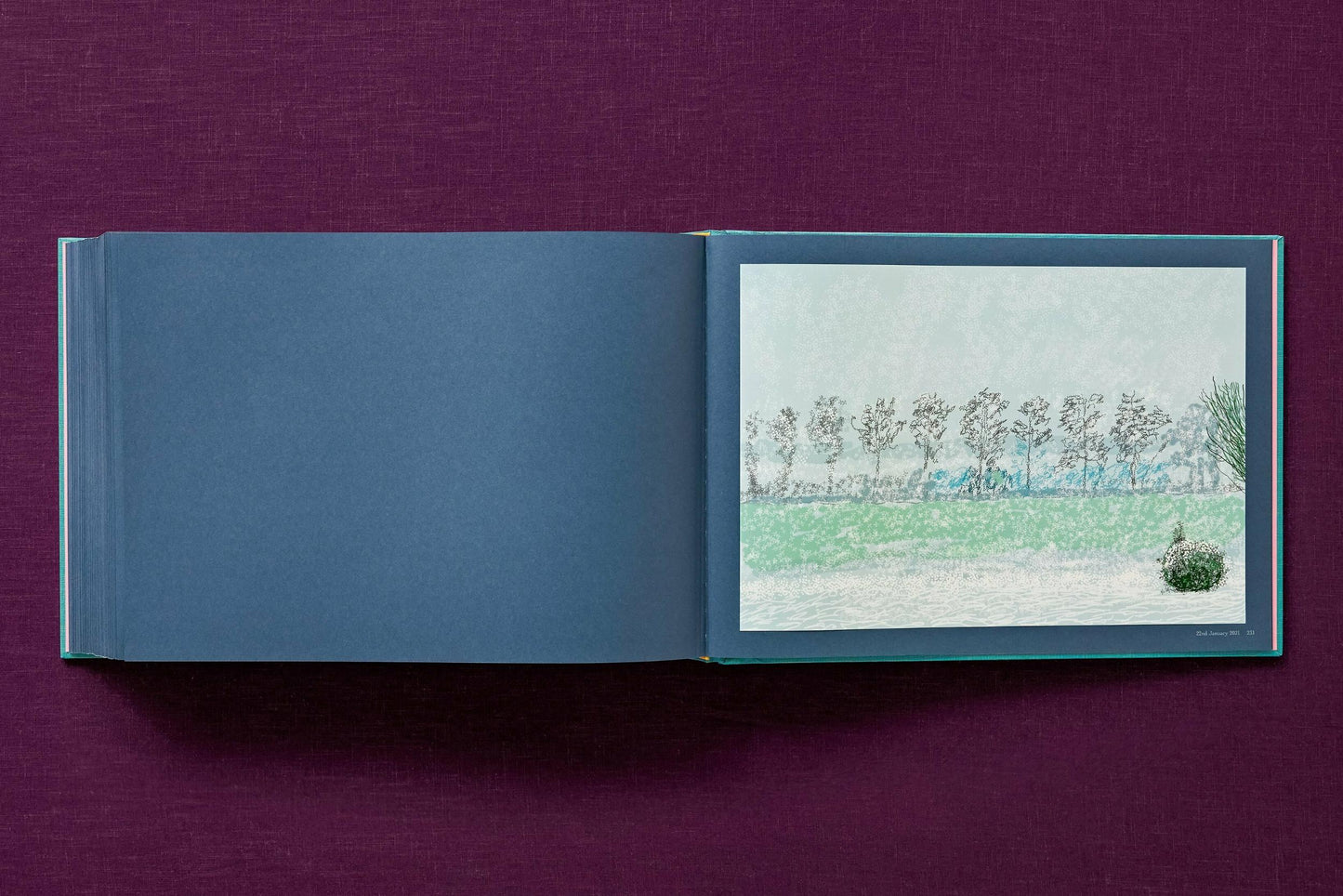 Hockney, 220 for 2020, Art B, Self-Portrait (English)