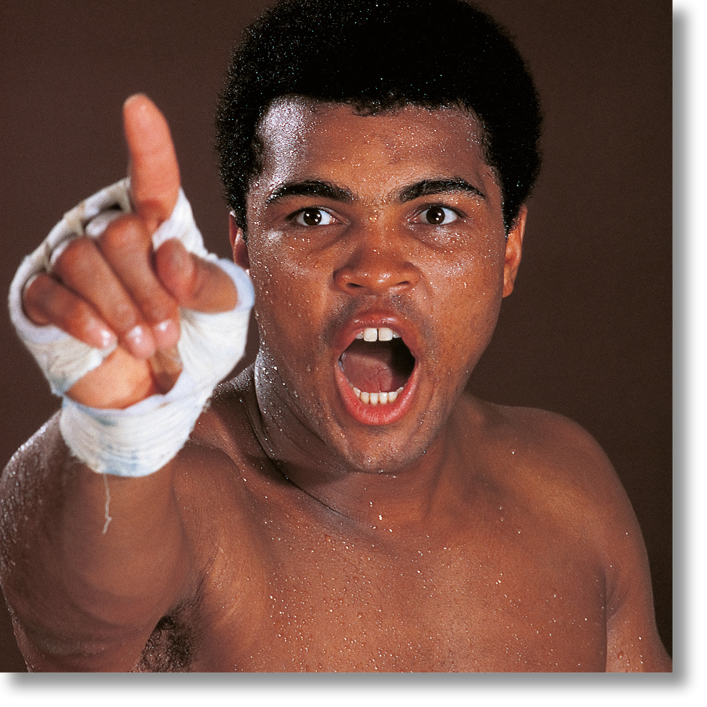 Leifer, The Mouth That Roared (AP)