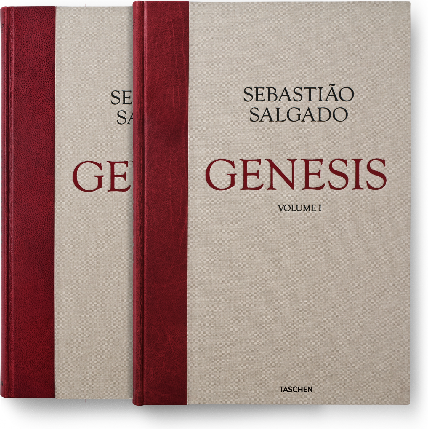 Salgado, Genesis SUMO (English) (AP)