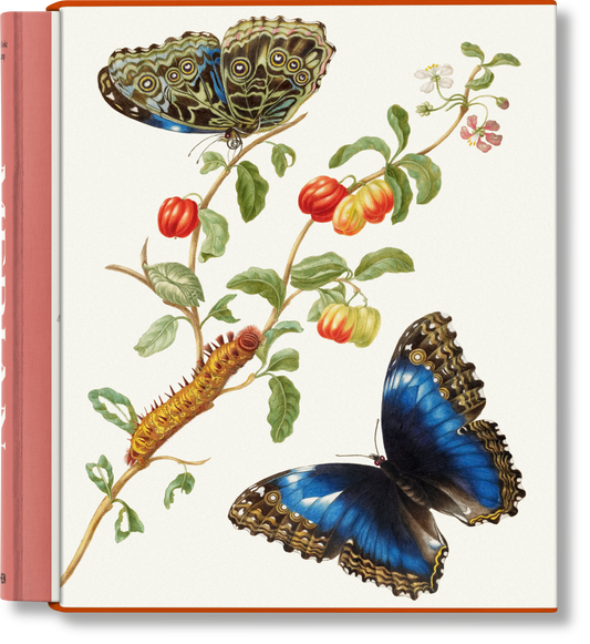 Merian (German, Spanish, French, English)