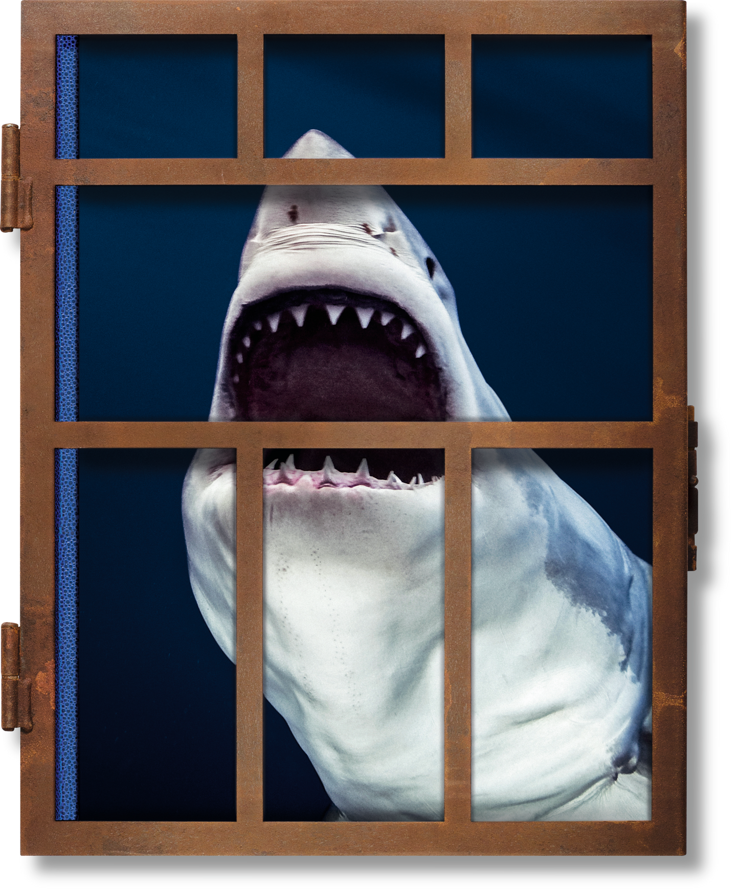 Muller, Sharks (English) (SA)