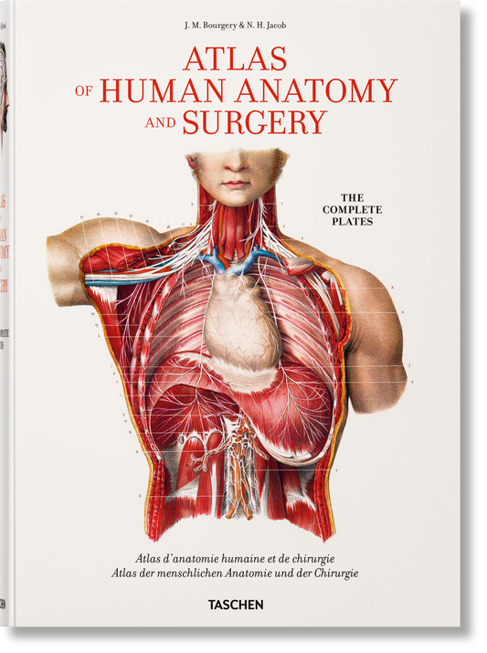 Bourgery, Atlas Anatomica (Spanisch, Italienisch, Portugiesisch)
