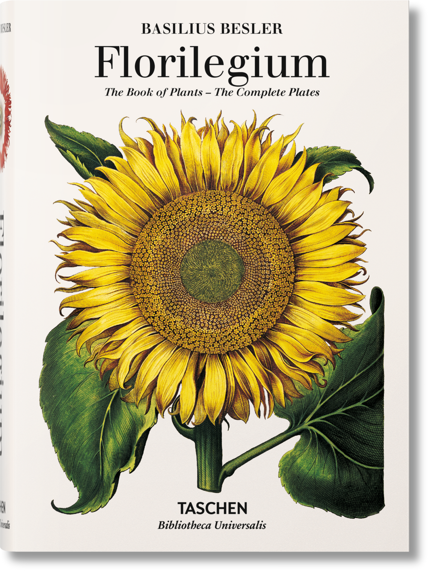 Besler, Book of Plants/Eichstätt