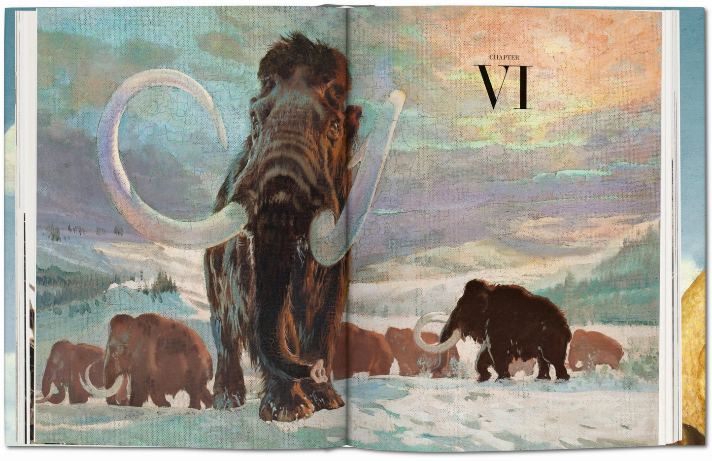 Paleoart (English)