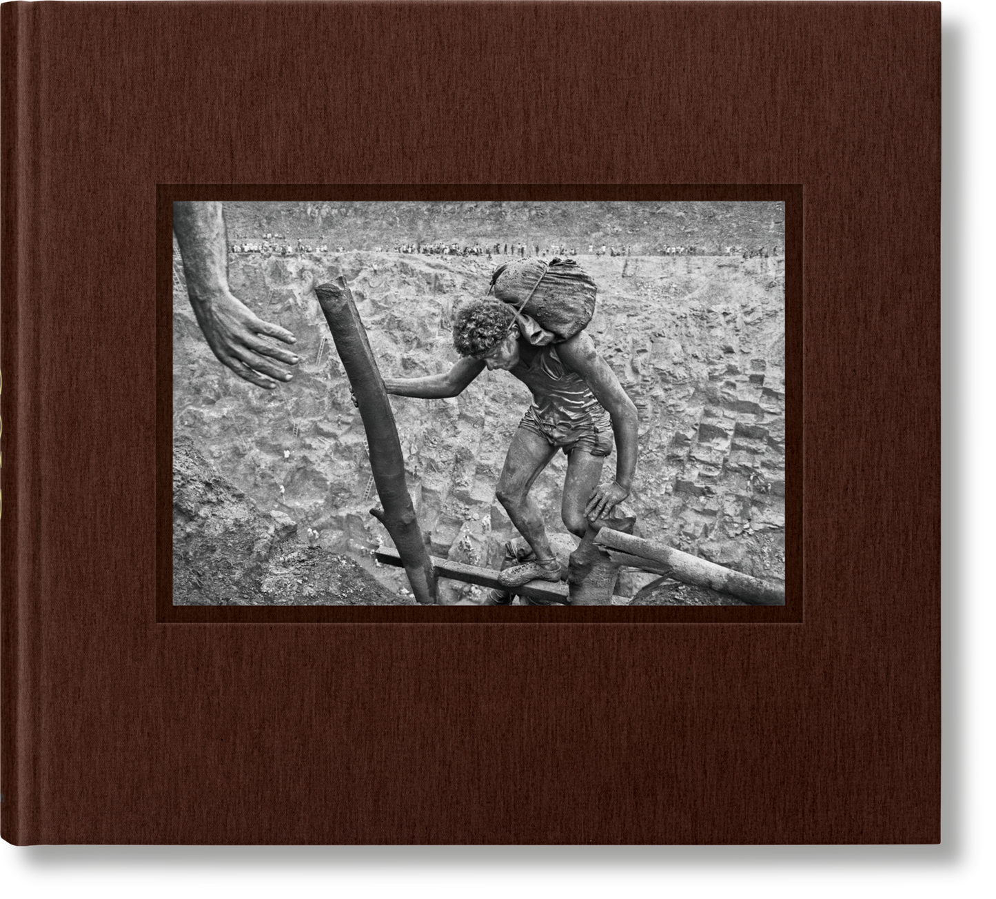 Salgado, Gold (English) (SA)