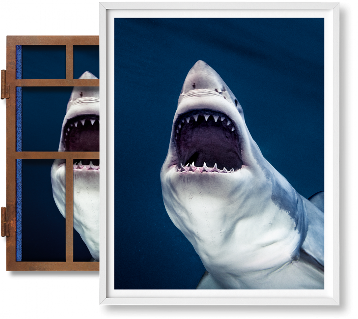 Muller, Sharks, Art A, Tear You Apart (Englisch) (AP)
