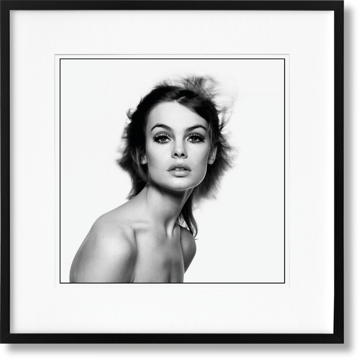 Bailey SUMO, Art B, Shrimpton (Englisch)