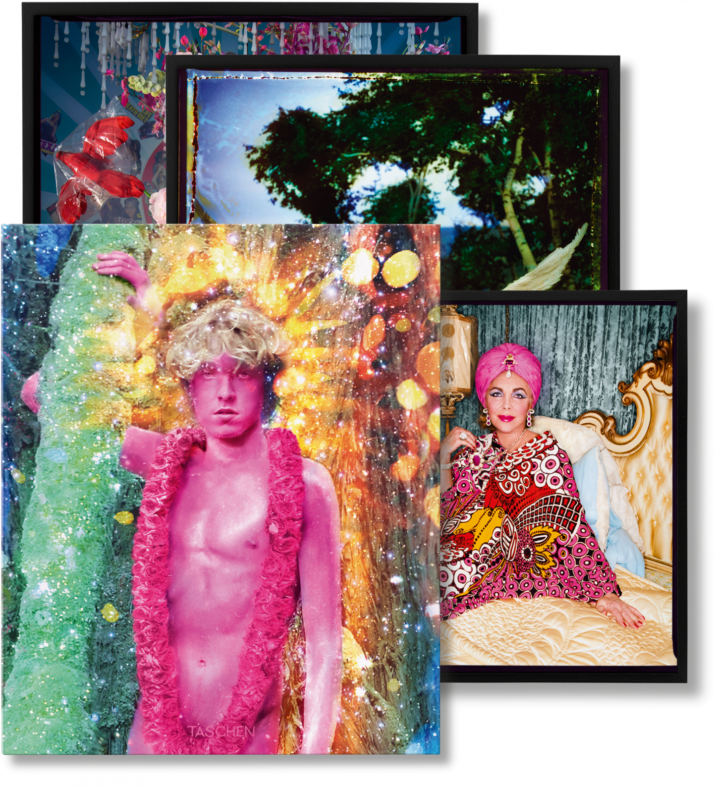 LaChapelle, Lost/Good, Art (German, French, English) (SA)