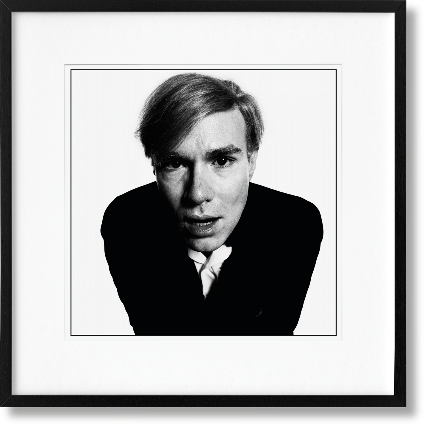 Bailey SUMO, Art D, Warhol (English) (AP)