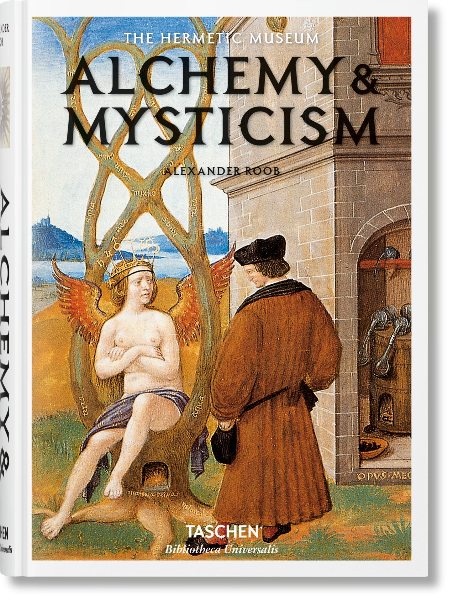 Alchemy & Mysticism (Chinese)