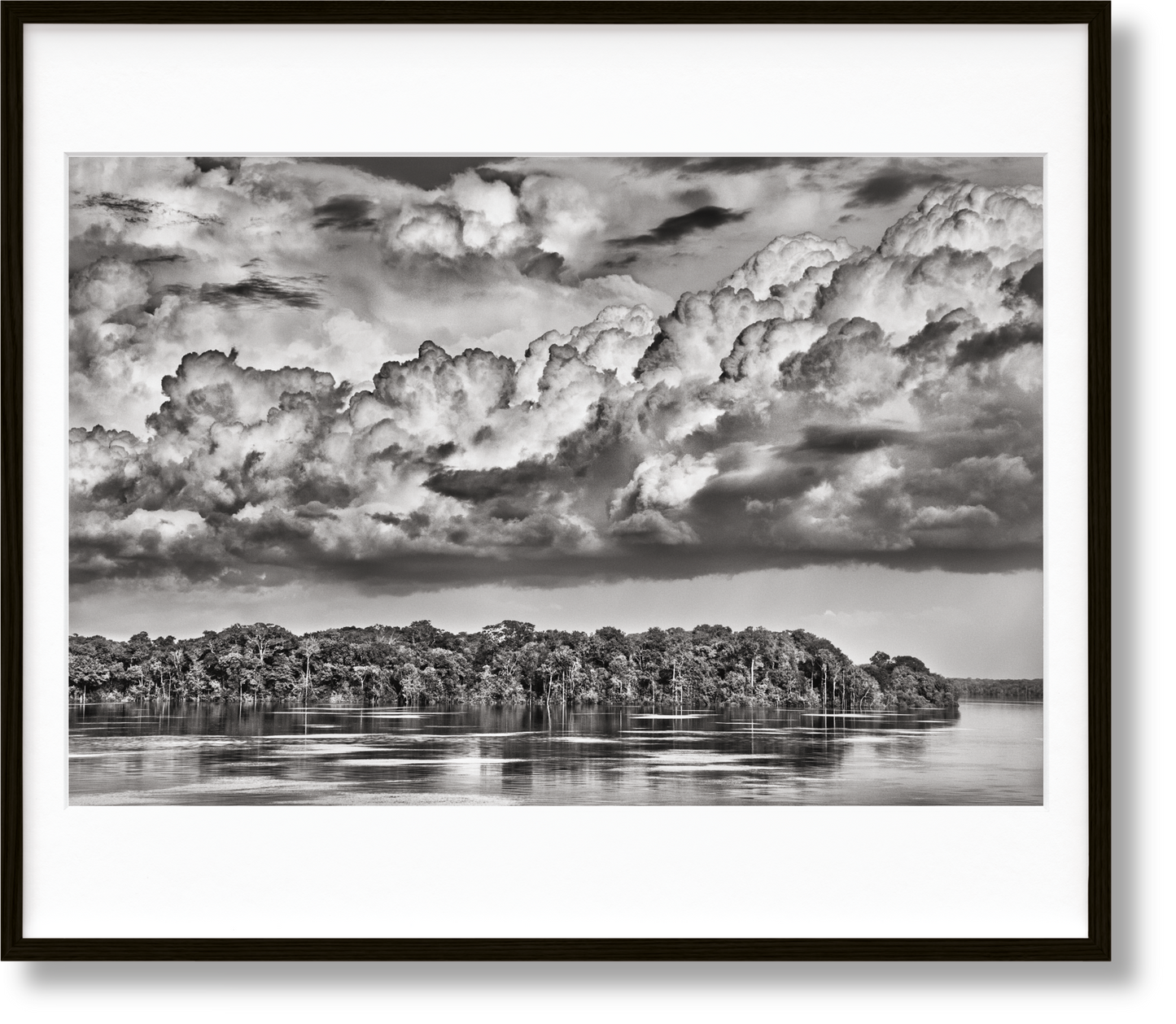 Salgado, Amazônia, Art D, Paraná (English)