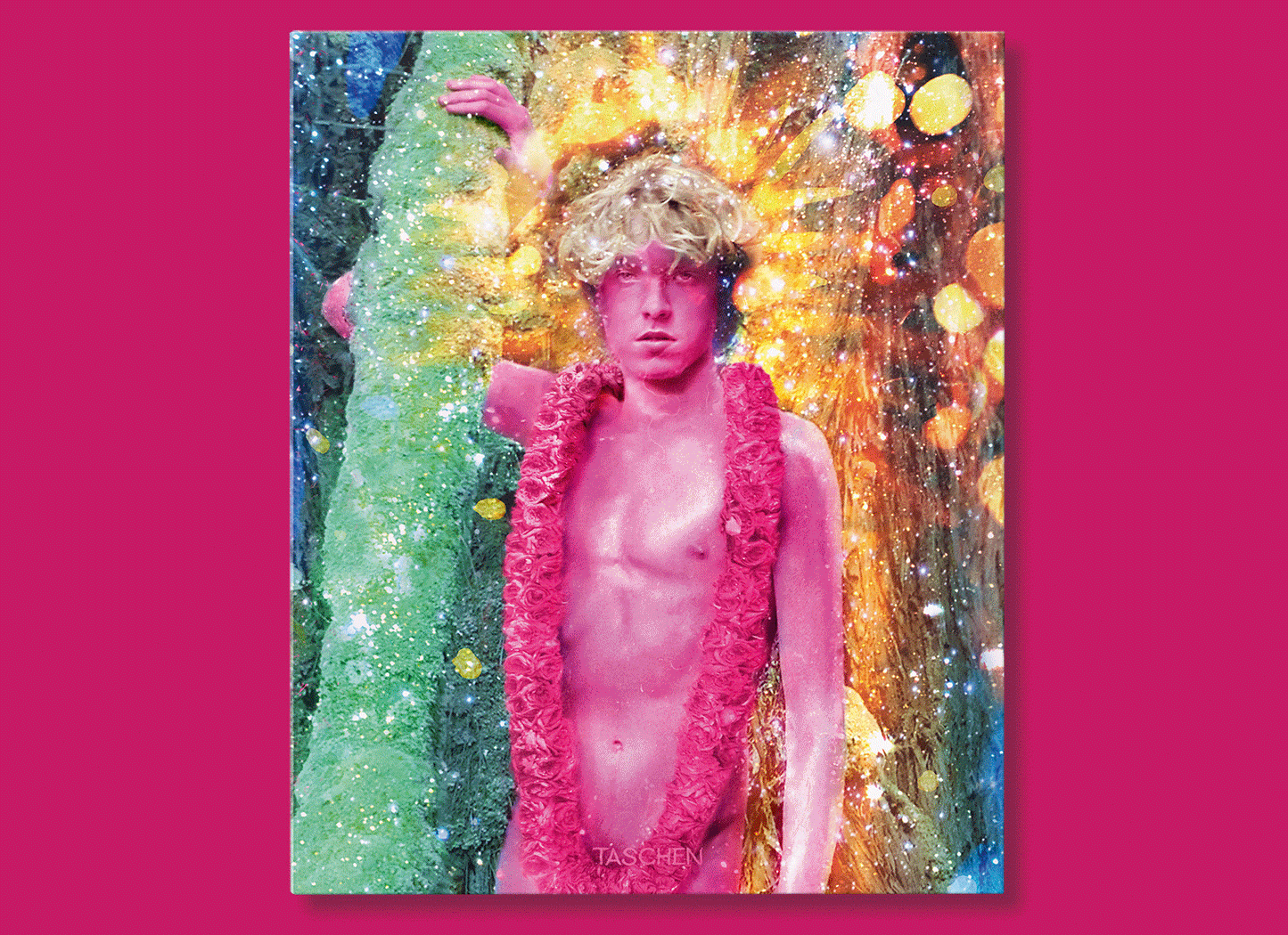 LaChapelle, Lost/Good, Art (German, French, English) (SA)